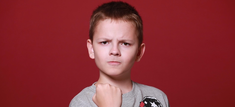 Kinder mit herausforderndem Verhalten, Weiterbildung, Kita, Hort, Grundschule, Krippe, pädagogischer Tag, soziale Fachkräfte, calaidoskop Leipzig, professioneller Umgang, Haltung, Aggressivität, Emotionalität, Wut, unkooperatives Verhalten